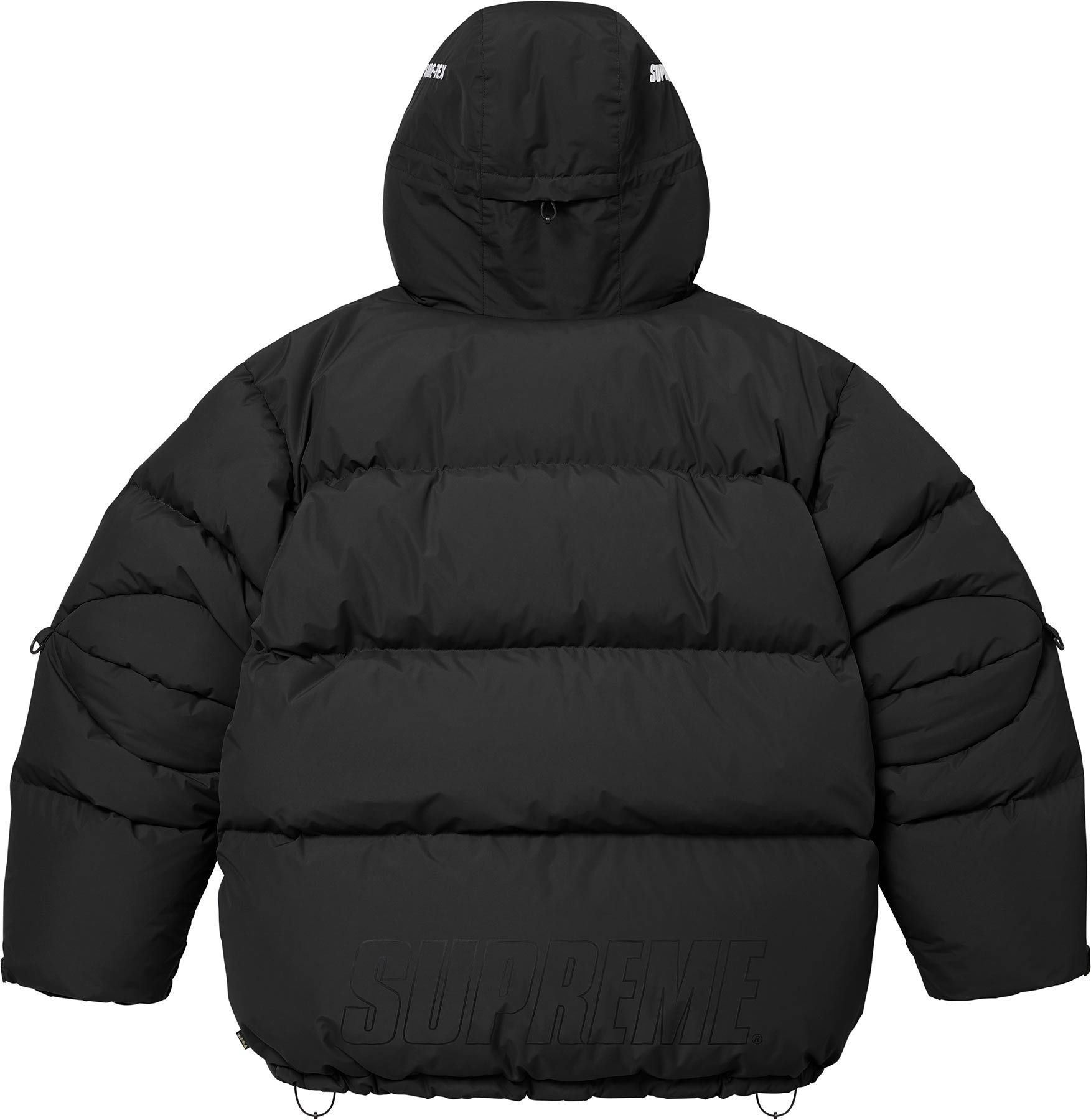 GORE-TEX 900-Fill Down Parka view 21